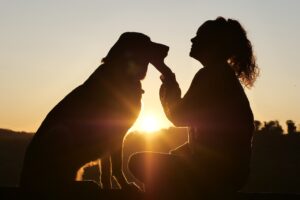 in-home pet, dog euthanasia in the Sydney Region