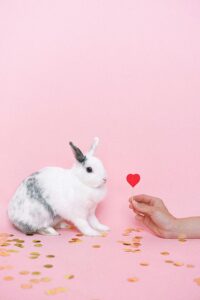 A cute white rabbit next to a hand holding a heart on a pink background with gold confetti.